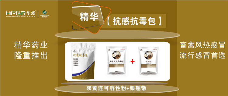 科普：几种常见畜禽伤风与盛行性伤风的防控 |【抗感抗毒包】抗菌消炎、解热排毒、抗毒增免，，，畜禽风热伤风、盛行伤风首选!
