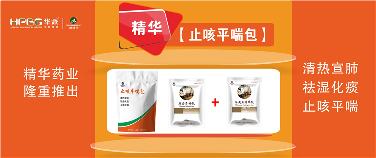 科普：畜禽呼吸道疾病的防控手艺 |【止咳平喘包】清热宣肺、祛湿化痰、止咳平喘，，，畜禽呼吸道疾病引起的种种咳喘防控首。。！