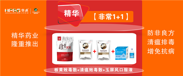 科普：非洲猪瘟防控步伐 |【很是1+1】防非良方, 清瘟排毒、增免抗。。。，，加速猪瘟抗体爆发!