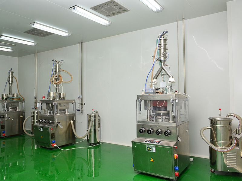 片剂颗粒剂车间：压片机 