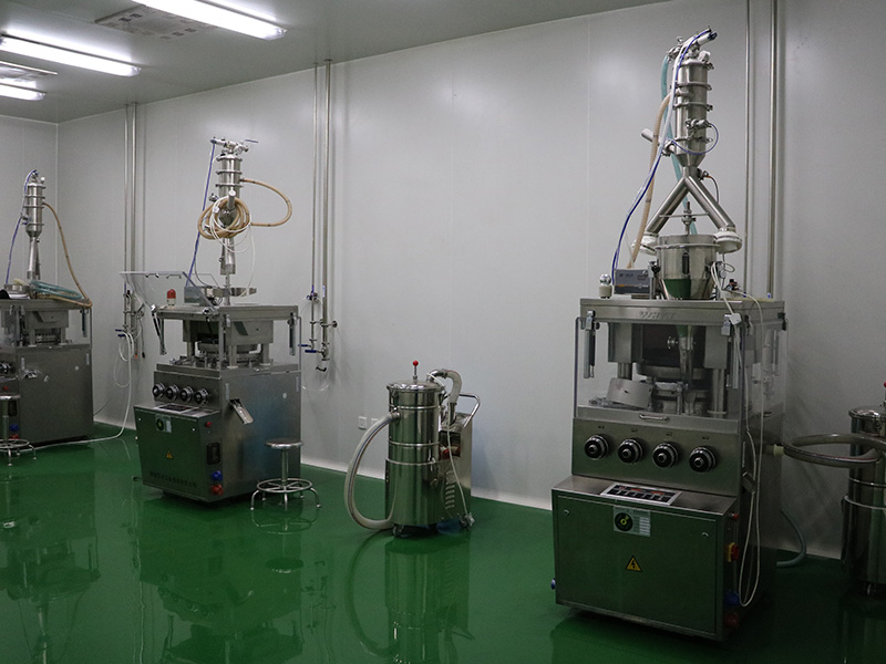 片剂颗粒剂车间：压片机 