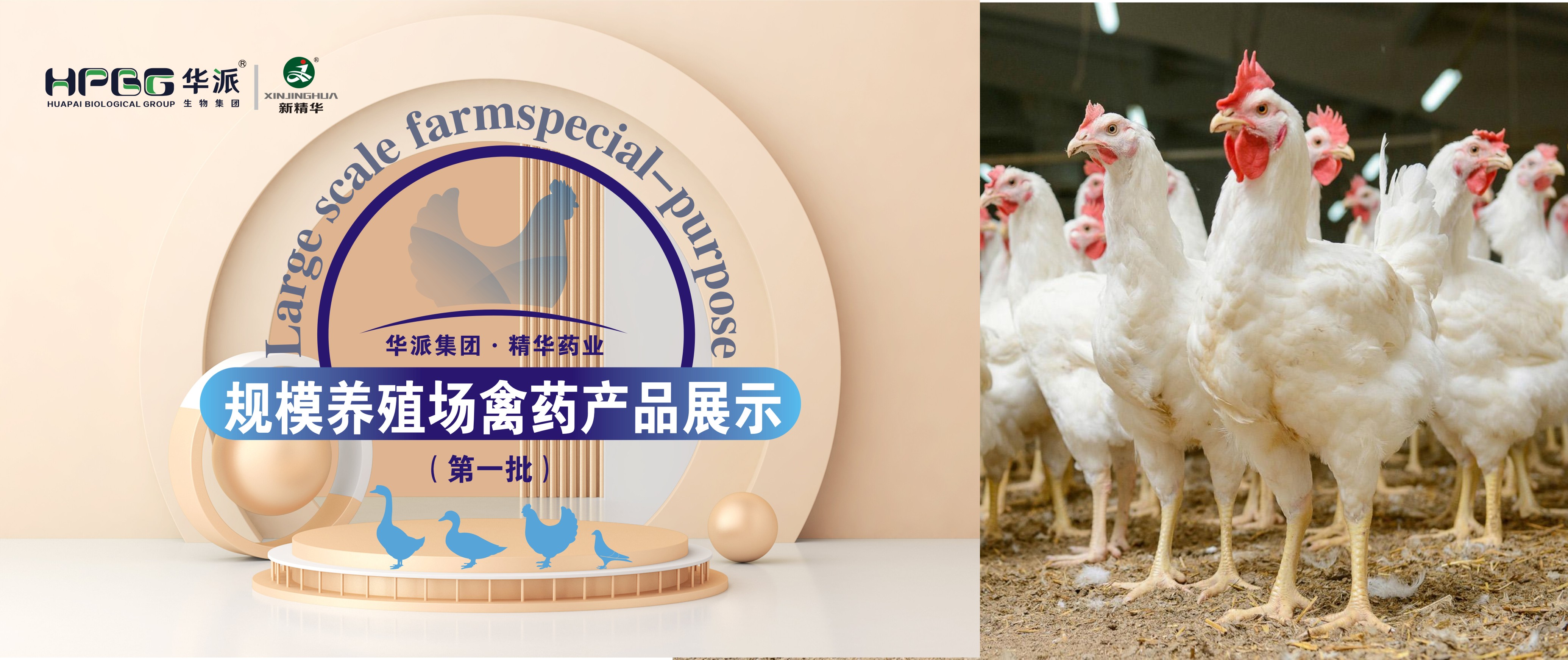 规；；；吵∽ㄓ | 华派集团&middot;亿万先生药业规；；；吵∏菀┎氛故荆ǖ谝慌